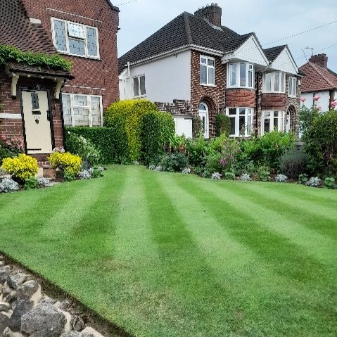 Lawn Maintenance