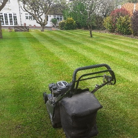 lawn mowing services