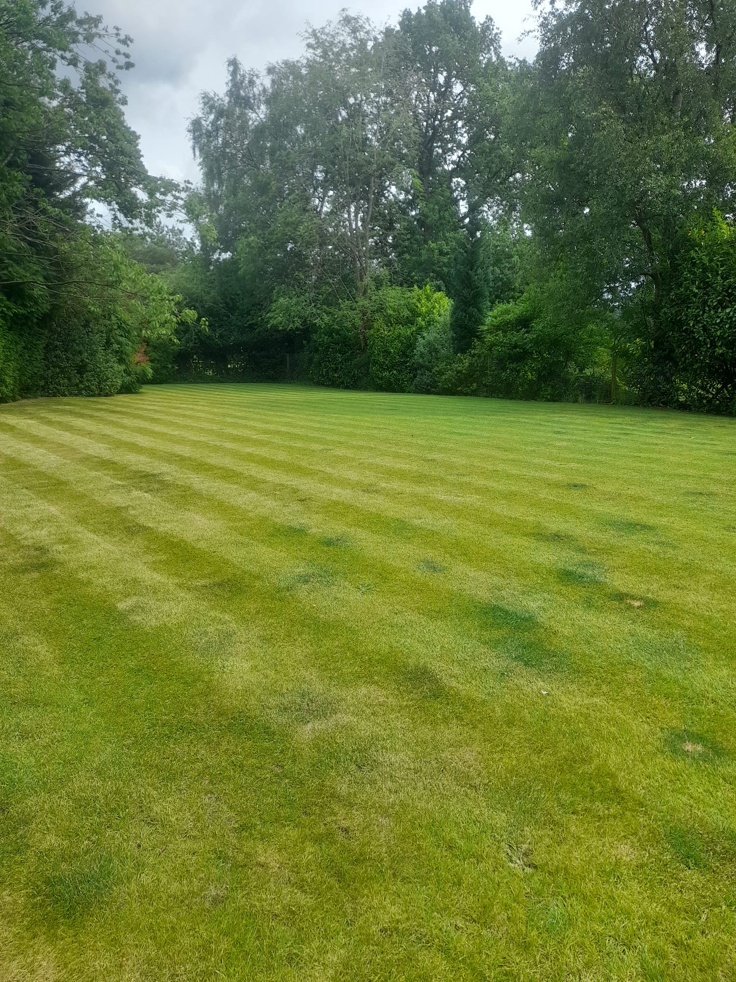 Garden Maintenance 20