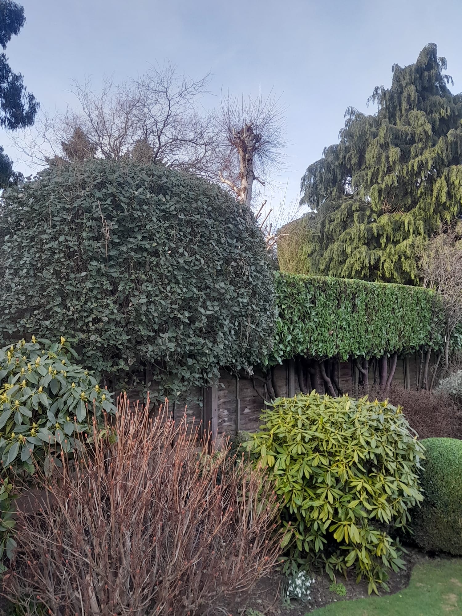 Garden Maintenance 8