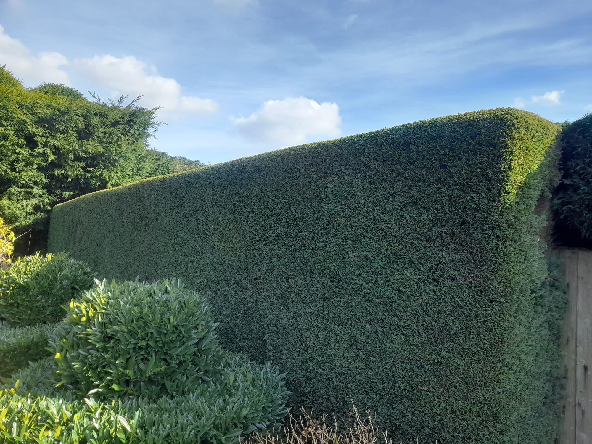 Garden Maintenance 9