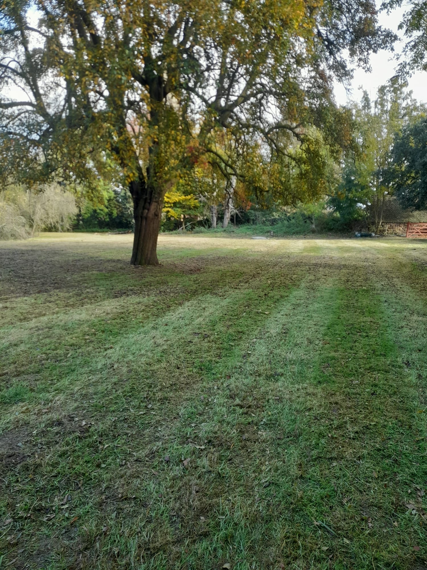 Garden Maintenance 7
